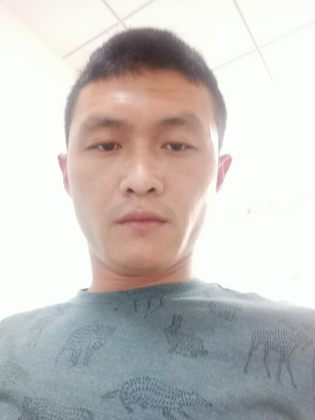 赵振