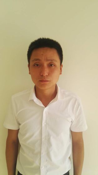 阳柳