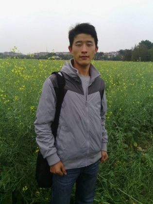 杨伟
