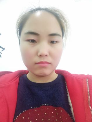 张风琴