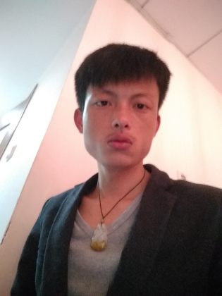 陈辉平