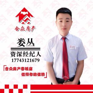 娄丛