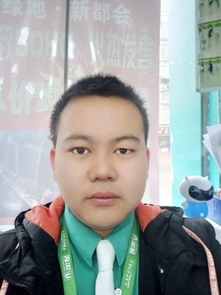 吴仪