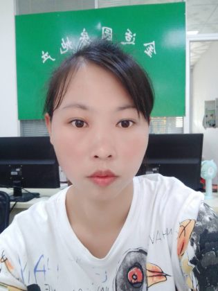 刘燕燕